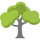 Jackson Tree Removal Service