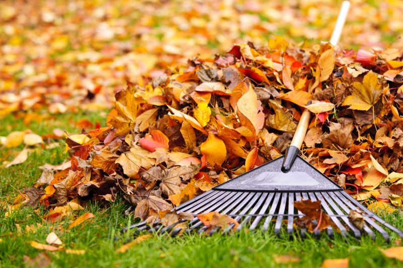 Leaves Being Raked into Piles