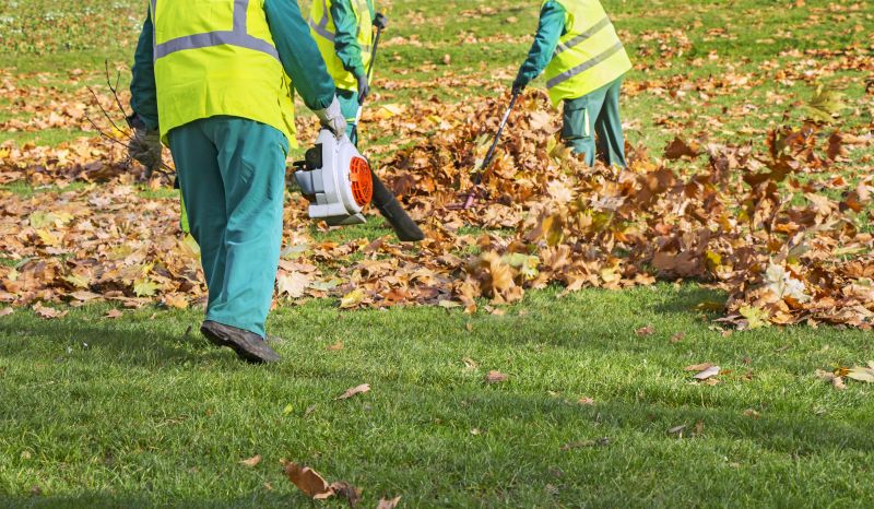 Blowing Leaves from Driveway