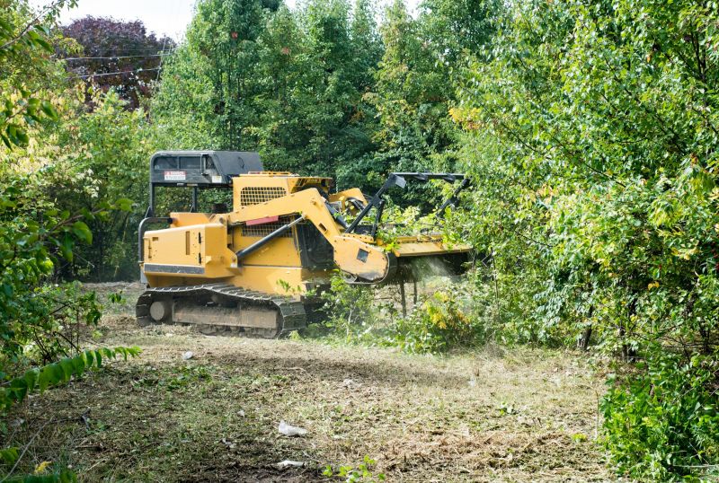 Heavy Equipment for Tree Removal