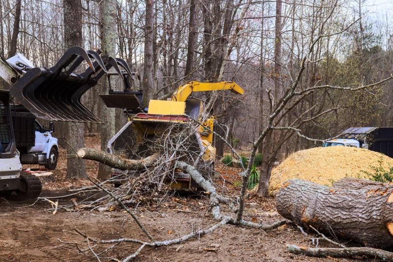 Wood Recycling Process
