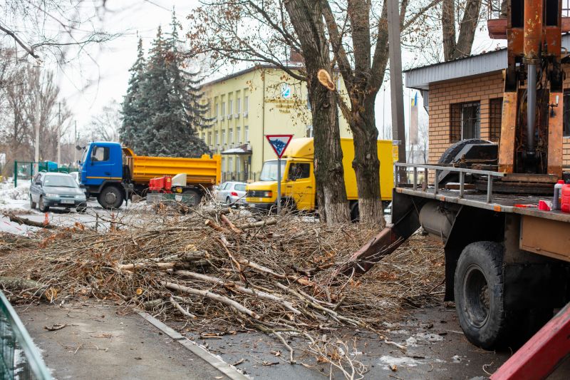 Emergency Tree Removal detail