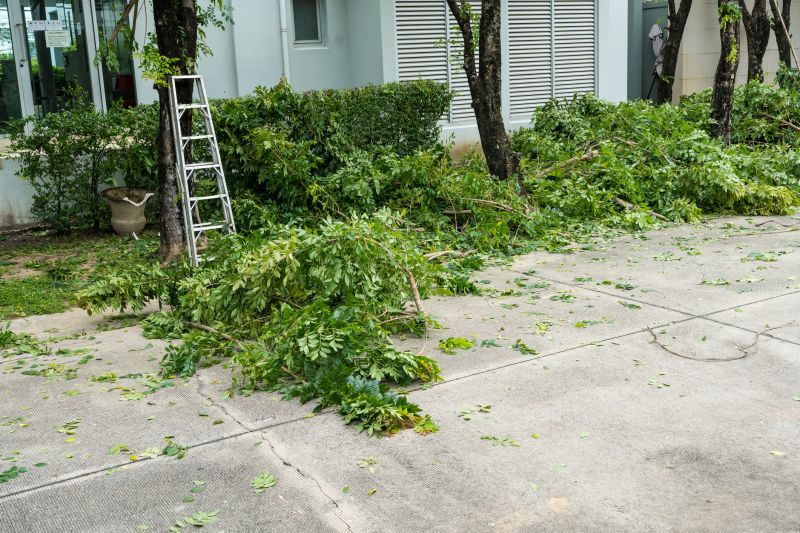 Tree Removal Service detail